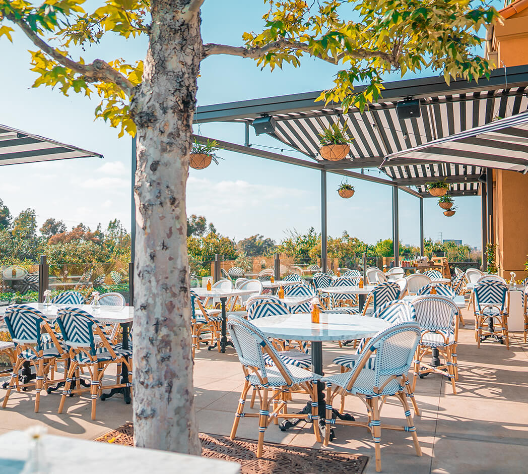 Group dining at Flower Child in Newport Beach